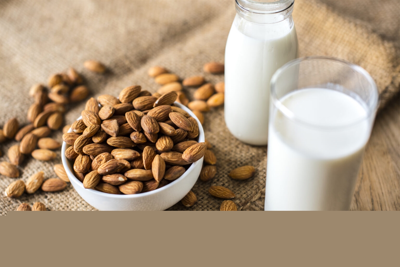 Có nên mua máy làm sữa hạt cho gia đình không?